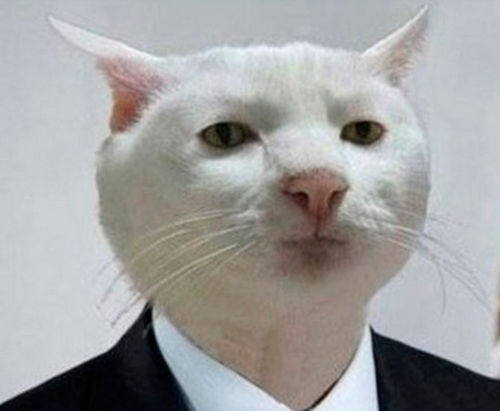 Что делать девушкам при запоре