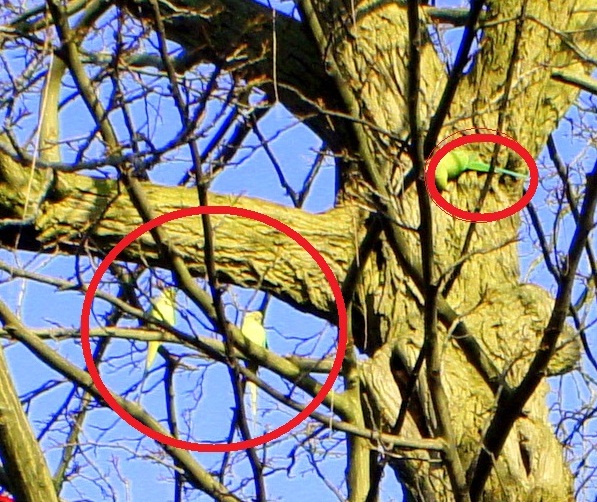 Автотур "Опять несет куда глаза глядятъ"