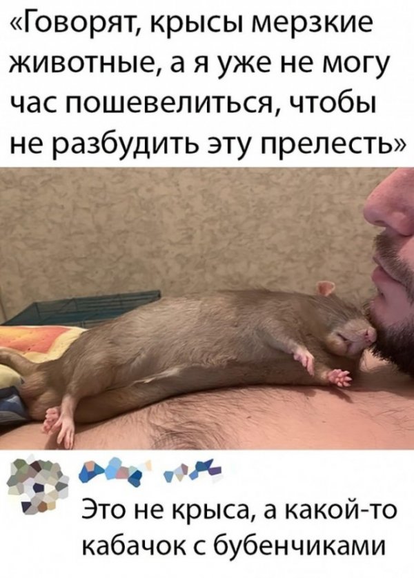 Прикольные и просто красивые картинки 18.11.2022