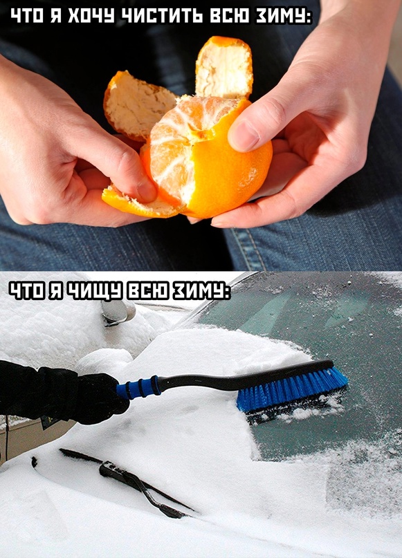 Весёлый полтишок 05.12.22