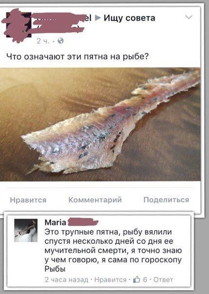 Всего понемногу. Часть 4