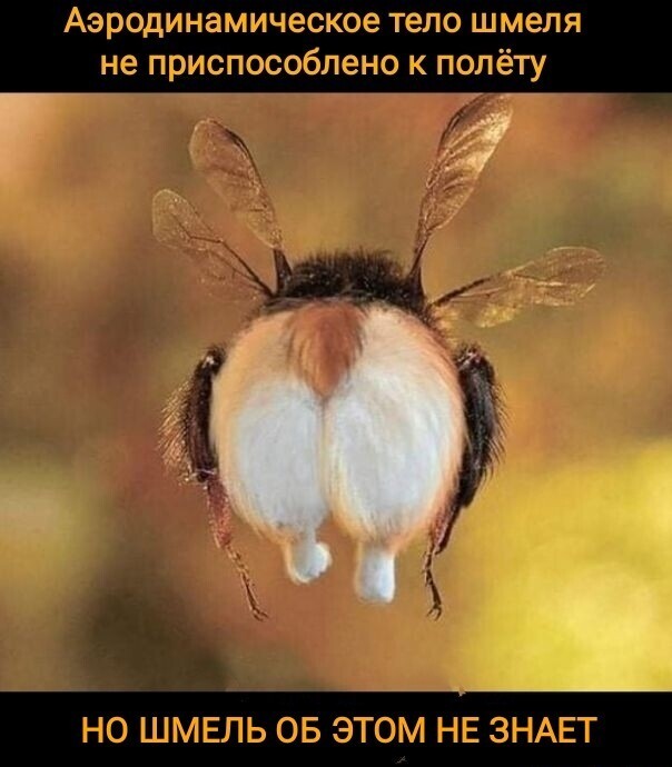 Картинки и мемы, всем хороших выходных