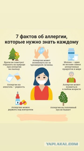Победная поступь идиотизма по планете – том 11