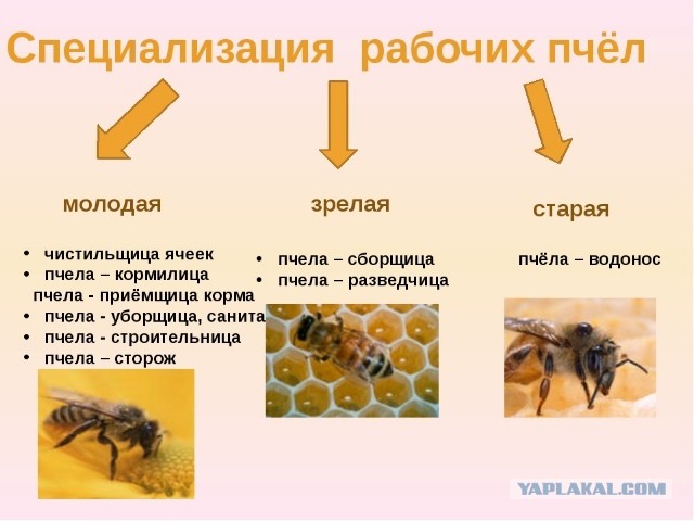 Свершилось чудо, друг спас жизнь друга