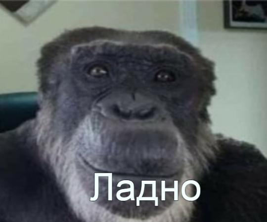 Юмор, вызывающий когнитивный диссонанс, впоследствии формирующий за счёт усилий на его подавление новые нейронные связи, попутно укрепляя старые, полезен для здоровья.