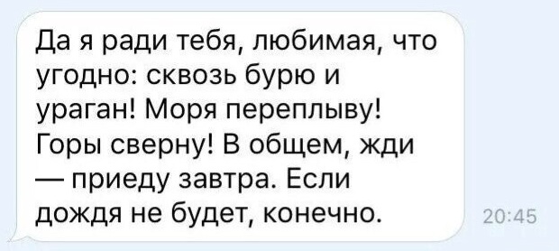 Весёлый полтишок 23.07.23