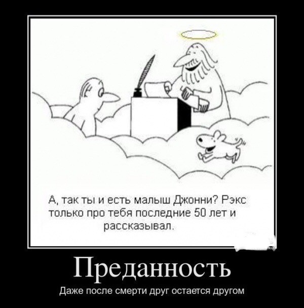 Собака 6 дней ждала хозяина у больницы