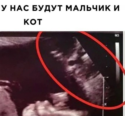 Завалялось тут случайно немного забавных картинок
