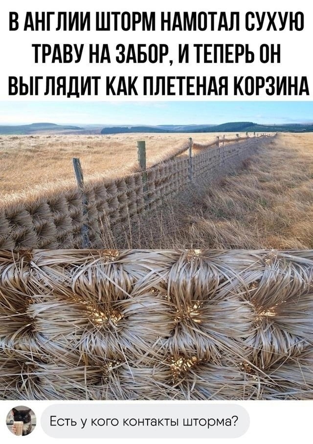 Так себе картинки 28.07.24