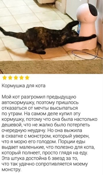 Всего понемногу. От 20.10