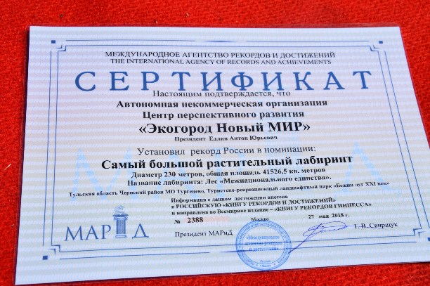 Как пилят президентские гранты. Проект «Лес-лабиринт»