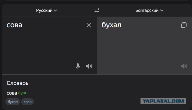 Вот поэтому сова такая... ой