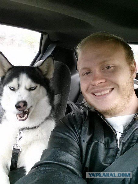 Азовское море! Братья наши меньшие..22фото