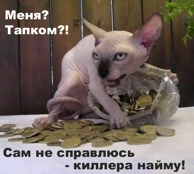О братьях наших меньших