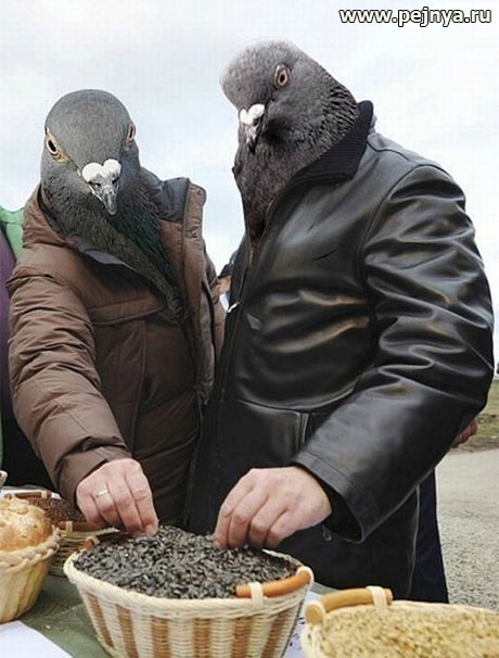 Захожу я значит в лифт.. а там