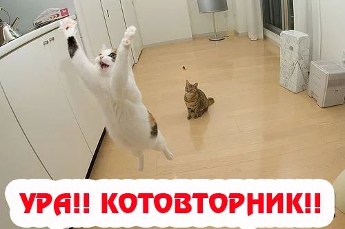 Прикольные и просто красивые картинки 18.11.2025