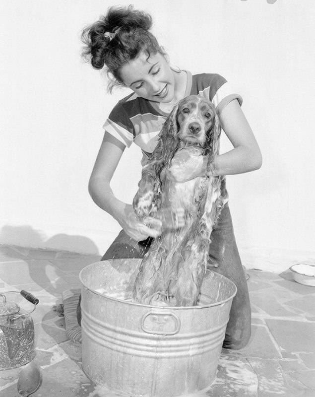 Редкие кадры и архивные снимки 18.02.26