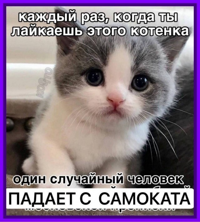 Нуштош. Убийство зрителя (s5e7)