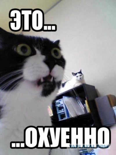 Обошел по головам, вело движ.