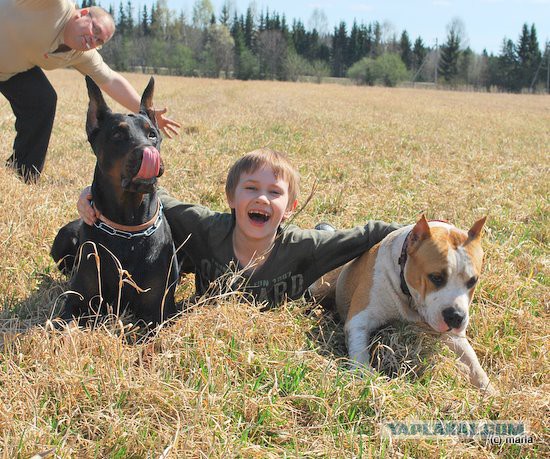Собакочетверг на 02.01.2014