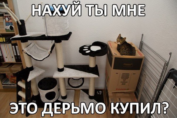 Дом для кошки.