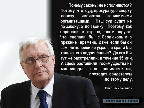 "Единая Россия" поддержала Сердюкова