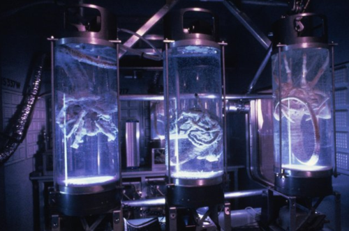 Марианская впадина