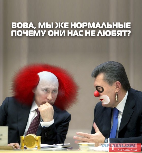 Видимо русский, уж очень на медведя похож.