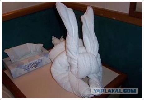 Как горничные в Гоа заправляют кровати