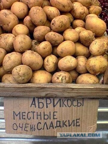 Русские варвары