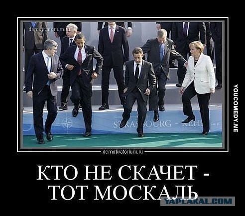 Реалии укрополитики - камни и зеленка в морду