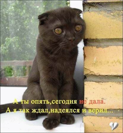 Забавные картинки и комменты из соцсети