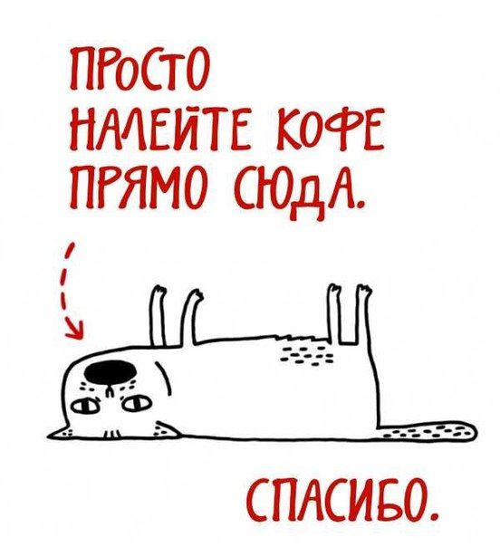 Подарочные конверты (2 шт)