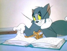 20 самых известных котов в интернете.