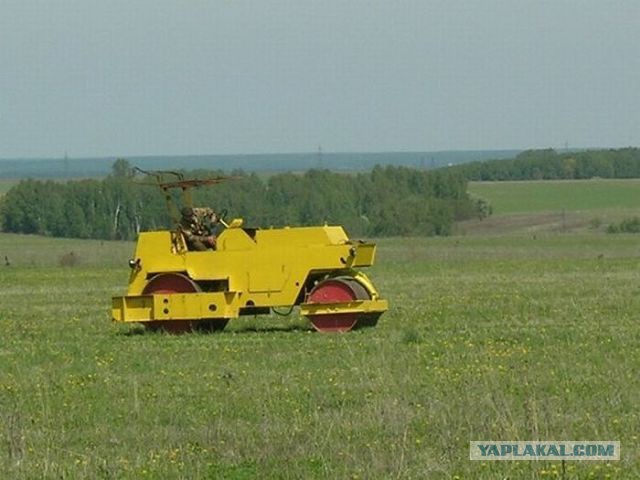 Веселые картинки