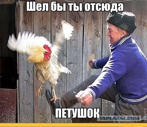 Удар ниндзя