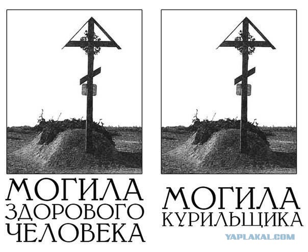 Чуток демотиваторов