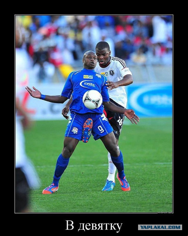 Спортивная  подборка