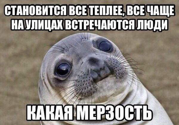 Немного картинок после праздника