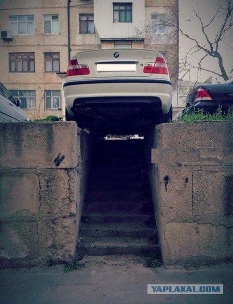 Картинки 12.05.2015