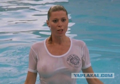 Самые известные копы голливудских фильмов