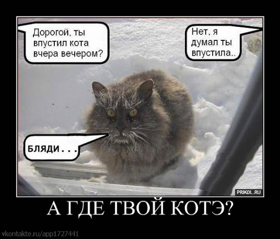 Известные котомемы.