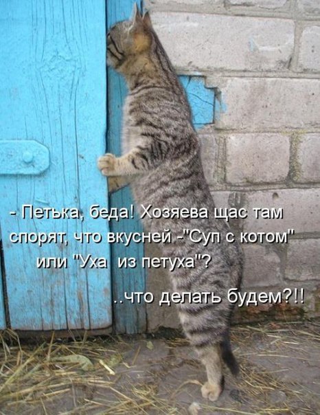 Картинки и демотиваторы
