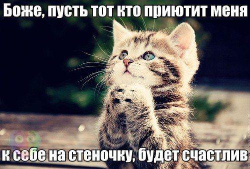 Отовсюду понемногу