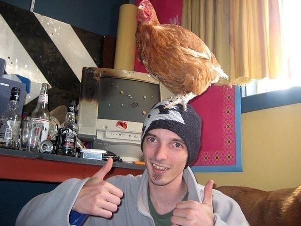 Ужасы и приколы из соцсетей 18+