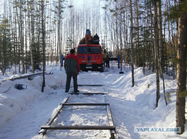 Пчеловоды