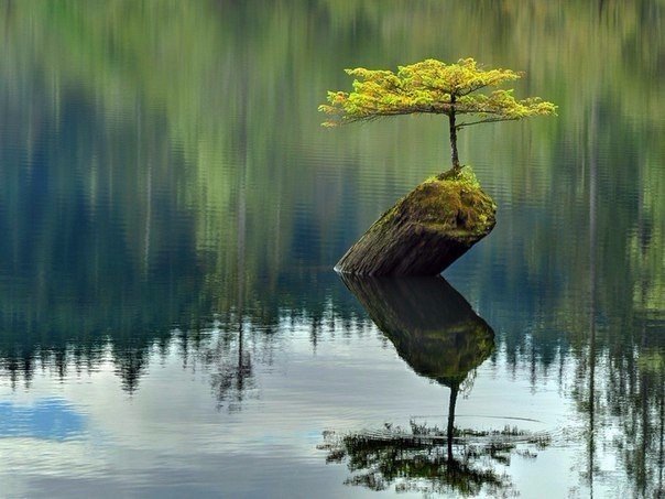 Картинки разные