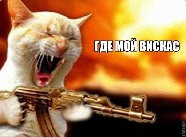 Подборка красивых и веселых картинок