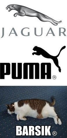 Подборка интересных и веселых картинок