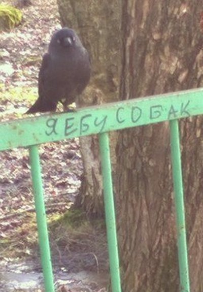 Подборка картинок